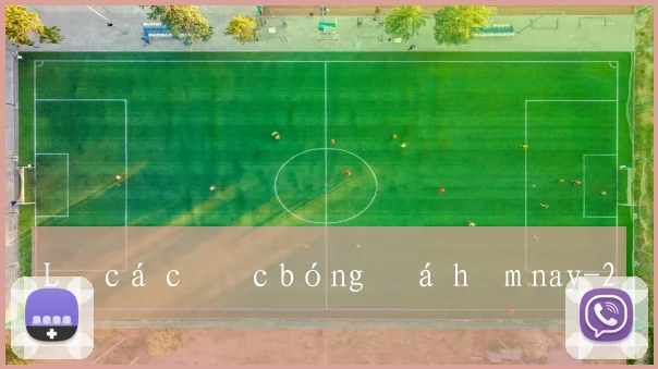 Lệ cá cược bóng đá hôm nay