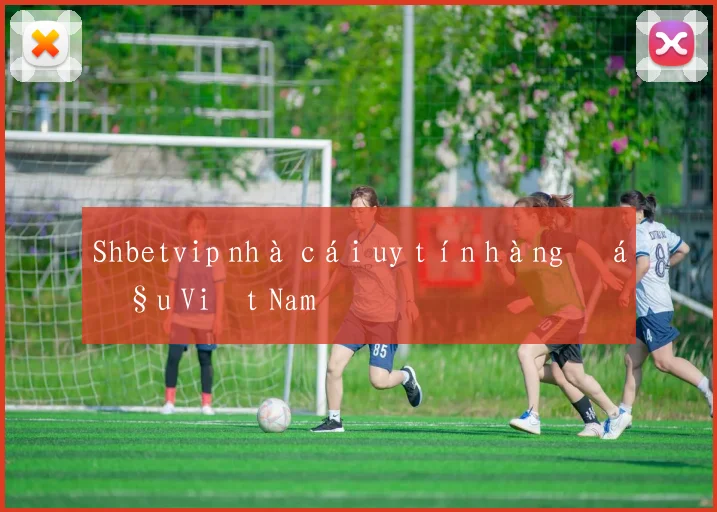 Shbetvip nhà cái uy tín hàng đầu Việt Nam